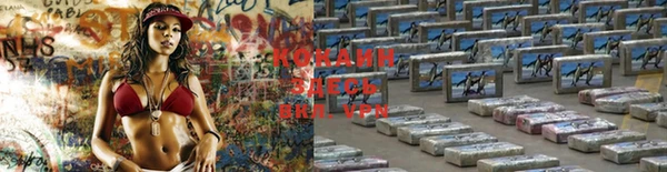 мескалин Няндома
